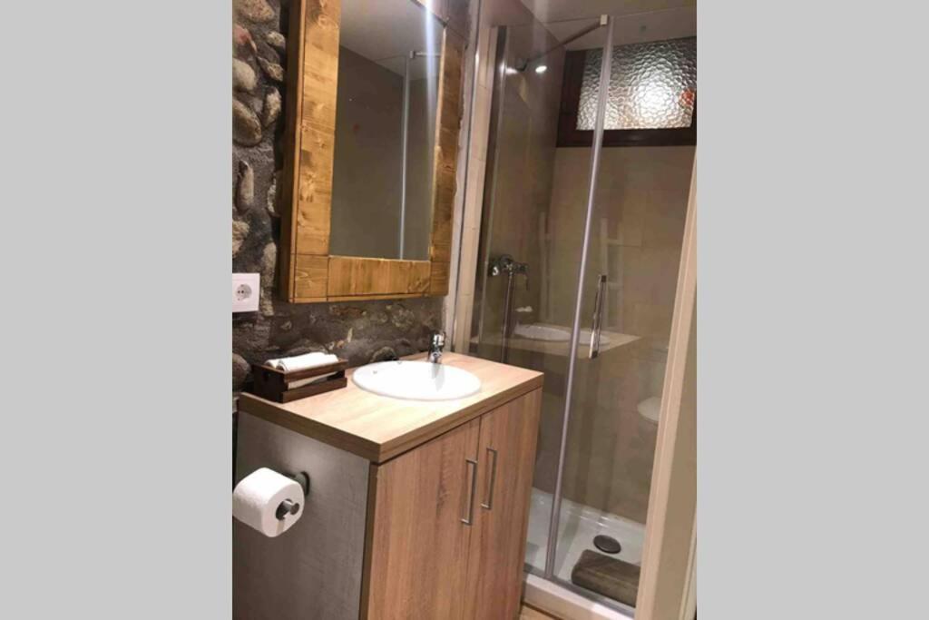 Puigcerda Centro. Acogedor Apartament En El Pueblo Dış mekan fotoğraf
